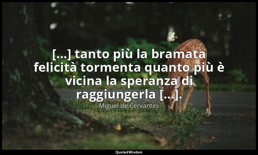 [...] tanto più la bramata felicità tormenta quanto più è vicina la speranza di  — Miguel de Cervantes