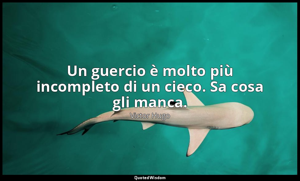 Un guercio è molto più incompleto di un cieco. Sa cosa gli manca. — Victor Hugo