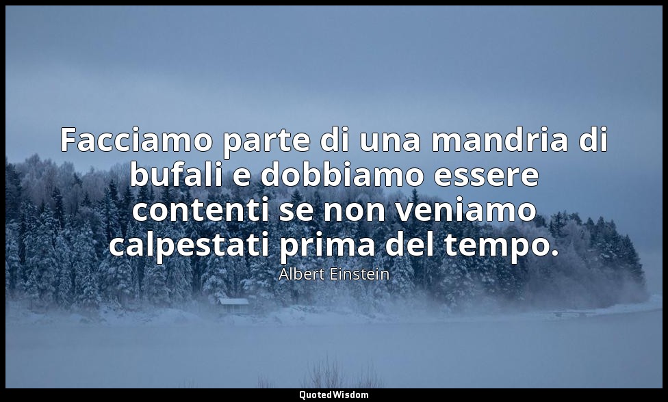 Facciamo parte di una mandria di bufali e dobbiamo essere contenti se non veniam — Albert Einstein