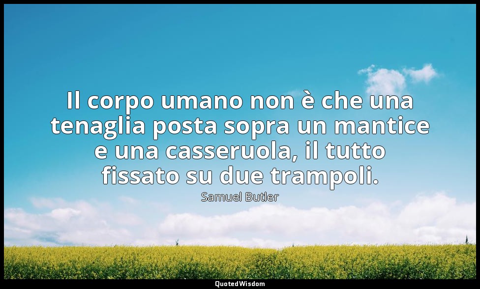 Il corpo umano non è che una tenaglia posta sopra un mantice e una casseruola, i — Samuel Butler