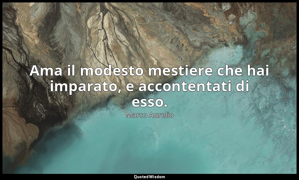 Ama il modesto mestiere che hai imparato, e accontentati di esso. — Marco Aurelio