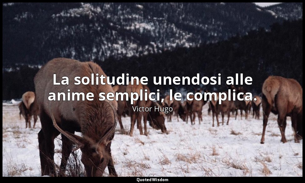 La solitudine unendosi alle anime semplici, le complica. — Victor Hugo