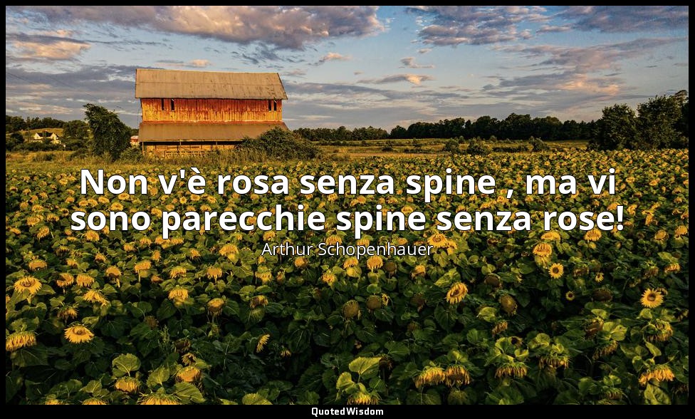 Non v'è rosa senza spine , ma vi sono parecchie spine senza rose! — Arthur Schopenhauer