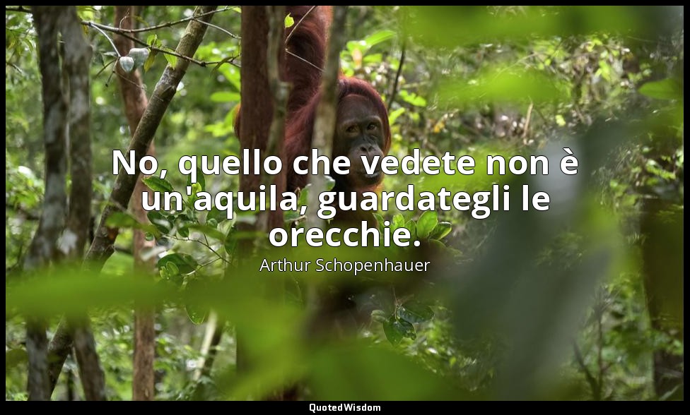 No, quello che vedete non è un'aquila, guardategli le orecchie. — Arthur Schopenhauer