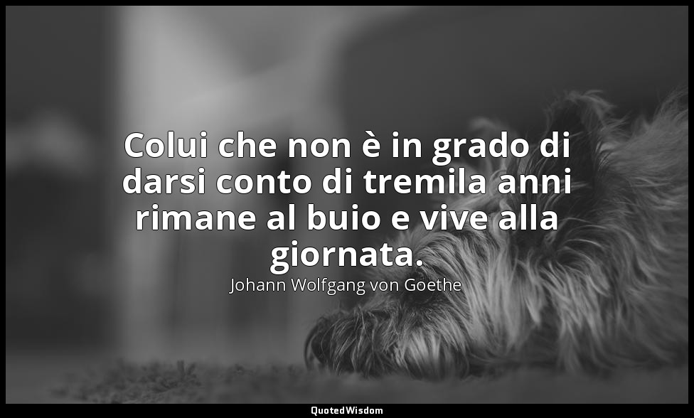 Colui che non è in grado di darsi conto di tremila anni rimane al buio e vive al — Johann Wolfgang von Goethe