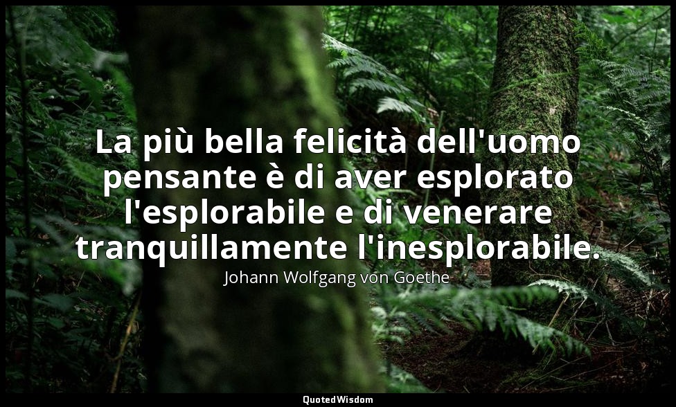 La più bella felicità dell'uomo pensante è di aver esplorato l'esplorabile e di  — Johann Wolfgang von Goethe