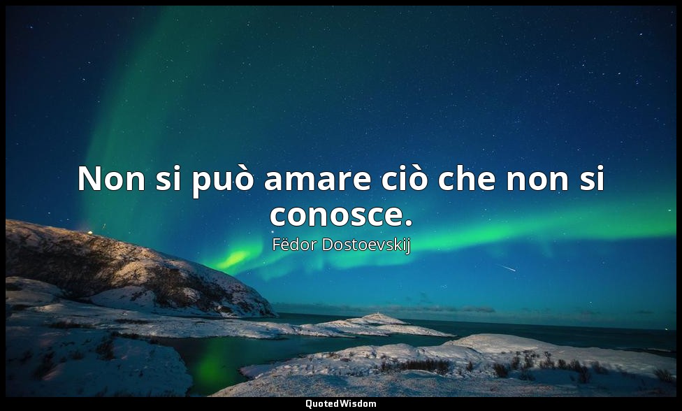 Non si può amare ciò che non si conosce. — Fëdor Dostoevskij