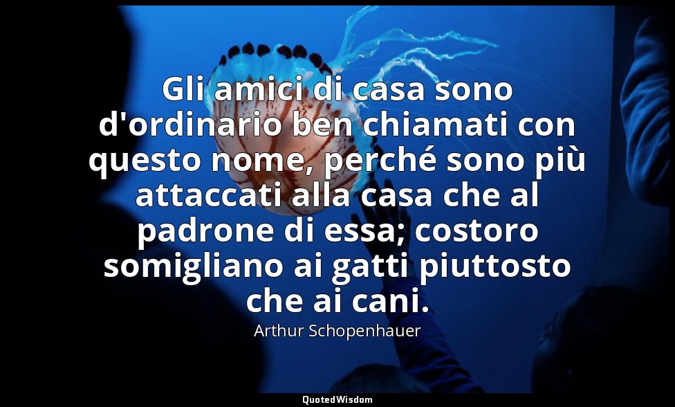 Gli amici di casa sono d'ordinario ben chiamati con questo nome, perché sono più — Arthur Schopenhauer