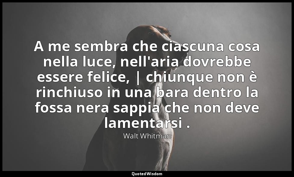 A me sembra che ciascuna cosa nella luce, nell'aria dovrebbe essere felice, | ch — Walt Whitman