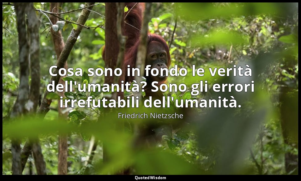 Cosa sono in fondo le verità dell'umanità? Sono gli errori irrefutabili dell'uma — Friedrich Nietzsche