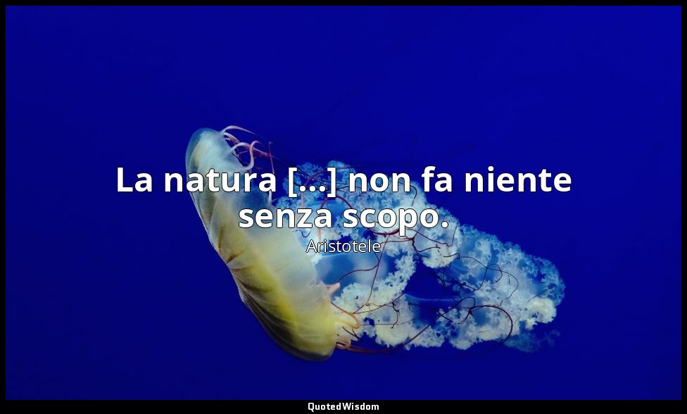 La natura [...] non fa niente senza scopo. — Aristotele