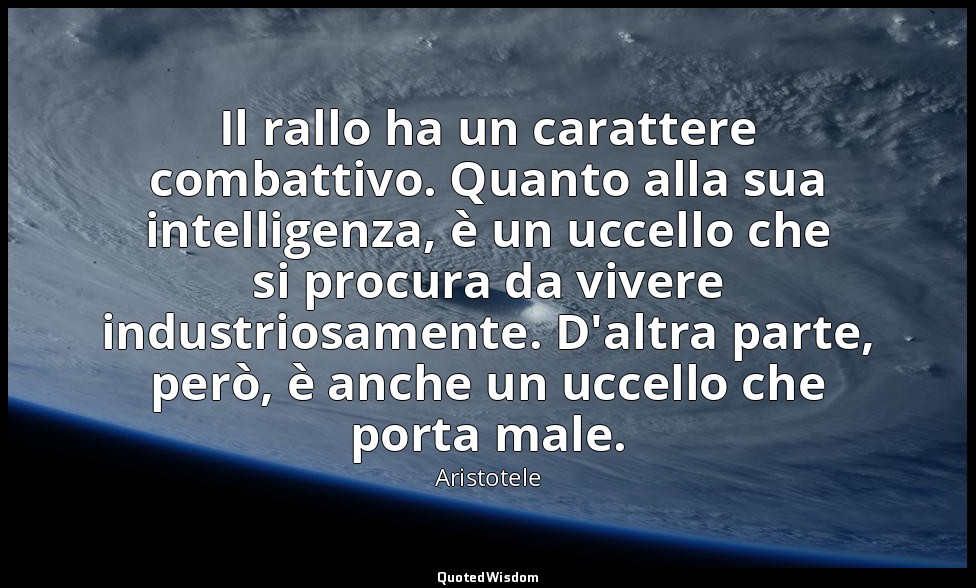 Il rallo ha un carattere combattivo. Quanto alla sua intelligenza, è un uccello  — Aristotele