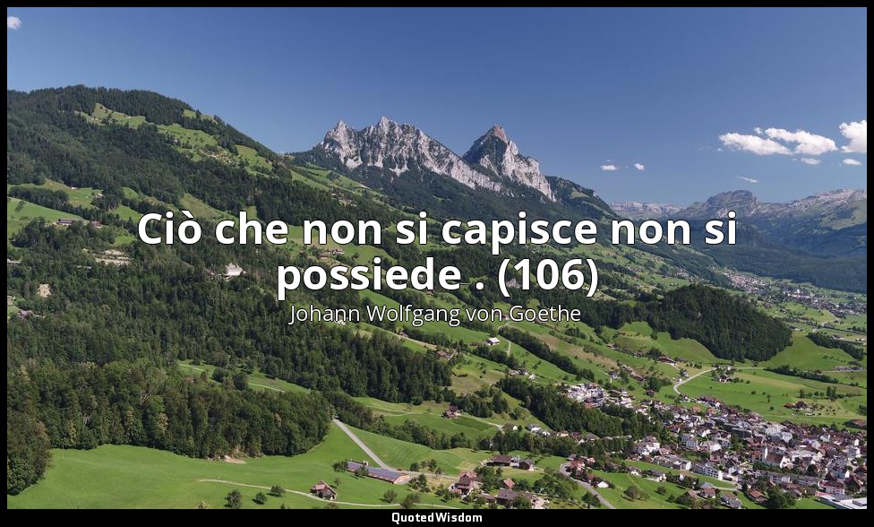 Ciò che non si capisce non si possiede . (106) — Johann Wolfgang von Goethe