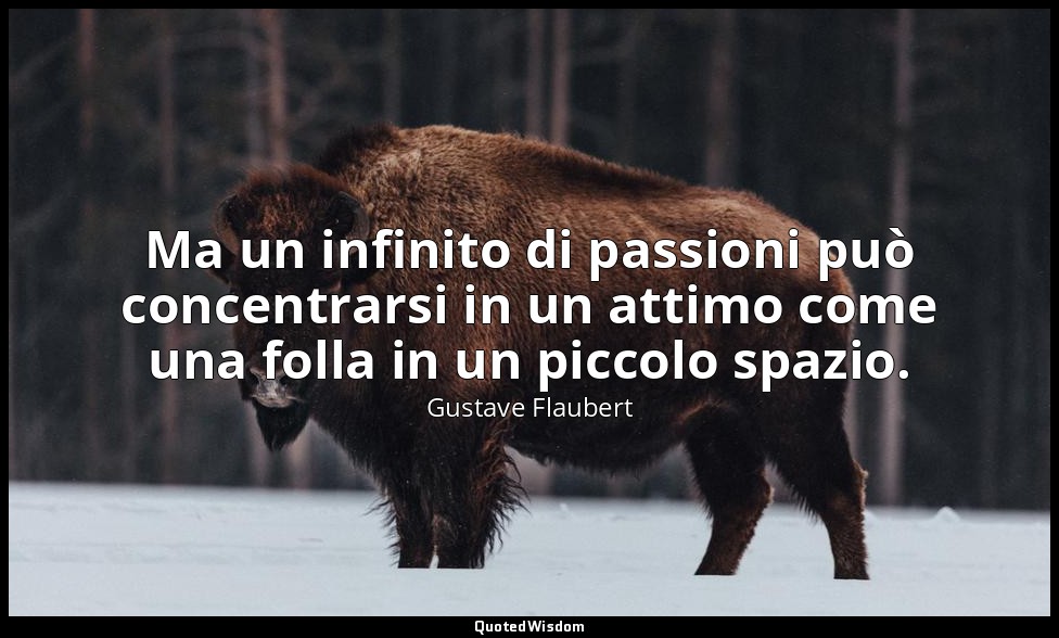 Ma un infinito di passioni può concentrarsi in un attimo come una folla in un pi — Gustave Flaubert