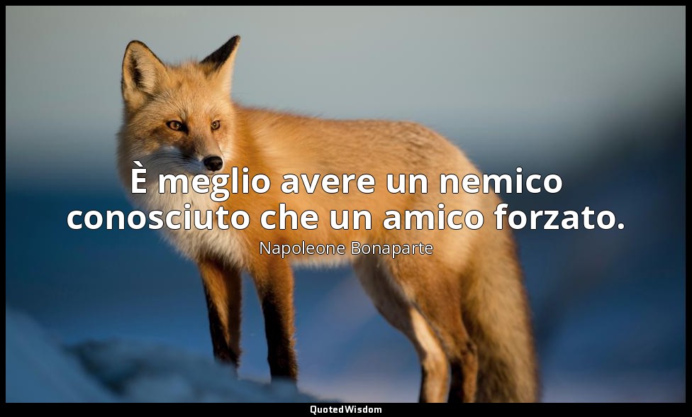 È meglio avere un nemico conosciuto che un amico forzato. — Napoleone Bonaparte