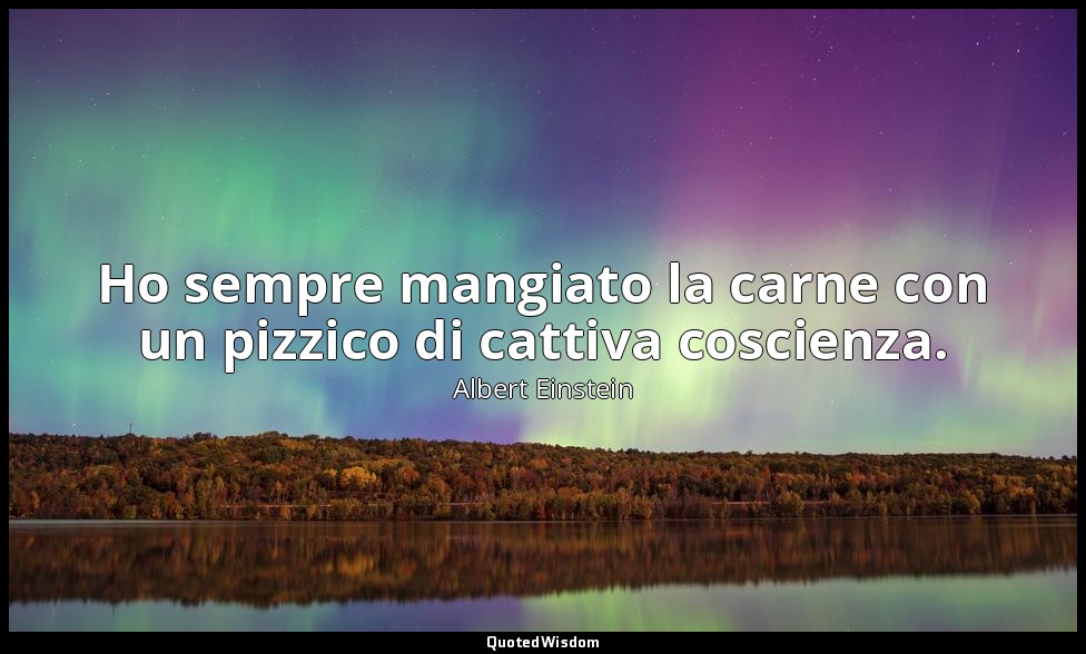 Ho sempre mangiato la carne con un pizzico di cattiva coscienza. — Albert Einstein