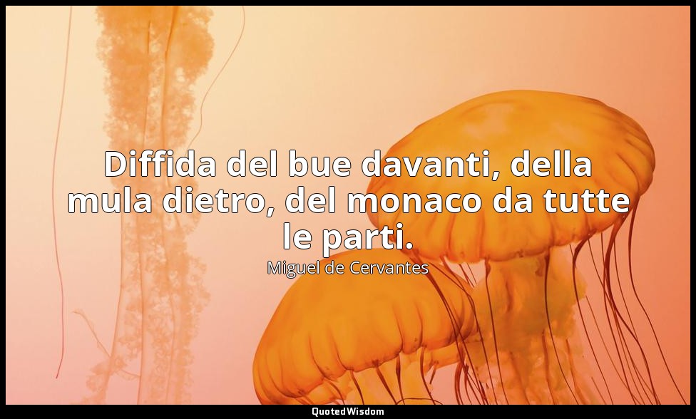 Diffida del bue davanti, della mula dietro, del monaco da tutte le parti. — Miguel de Cervantes
