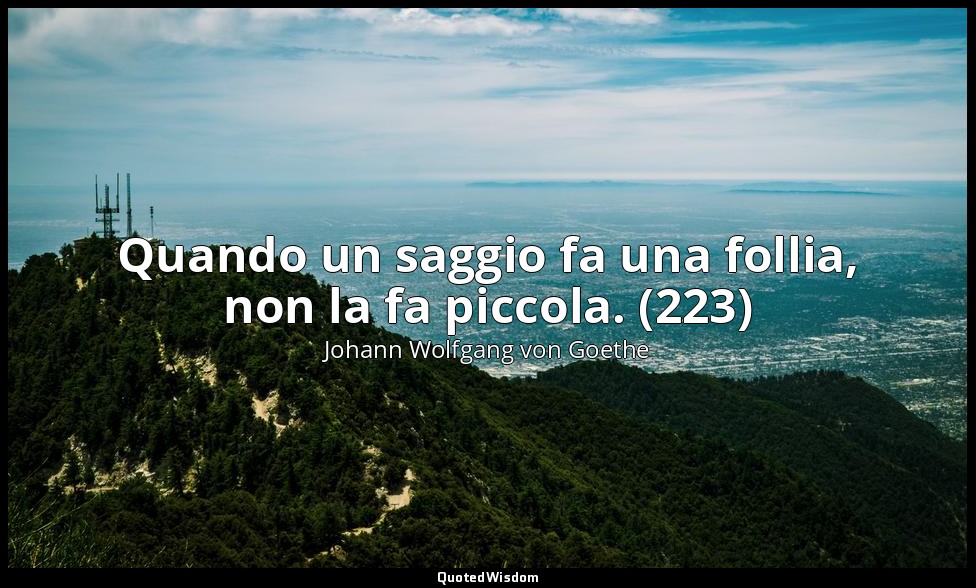 Quando un saggio fa una follia, non la fa piccola. (223) — Johann Wolfgang von Goethe