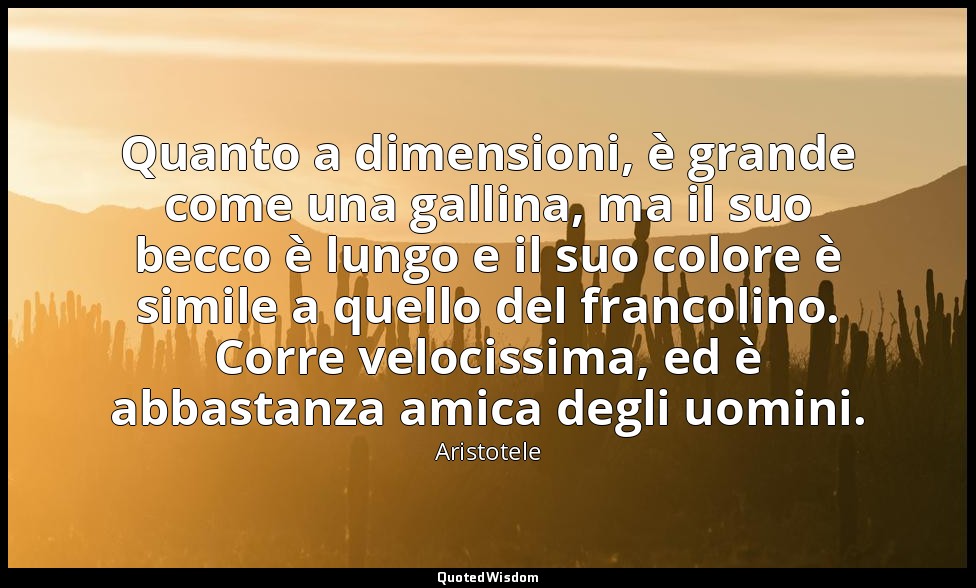 Quanto a dimensioni, è grande come una gallina, ma il suo becco è lungo e il suo — Aristotele