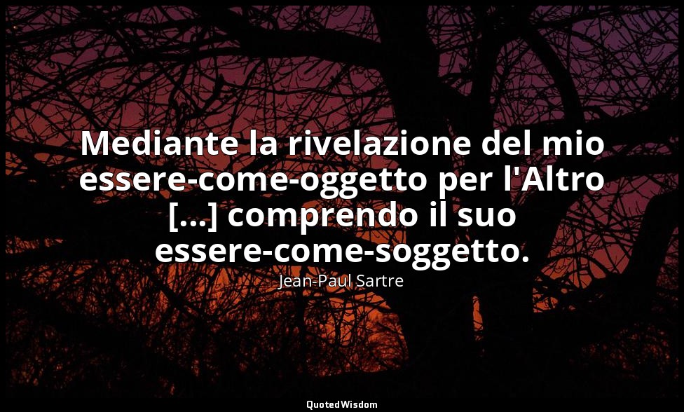 Mediante la rivelazione del mio essere-come-oggetto per l'Altro [...] comprendo  — Jean-Paul Sartre