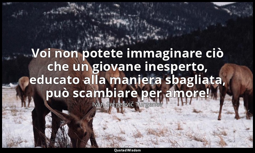 Voi non potete immaginare ciò che un giovane inesperto, educato alla maniera sba — Ivan Sergeevič Turgenev