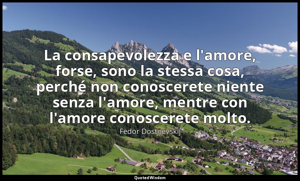 La consapevolezza e l'amore, forse, sono la stessa cosa, perché non conoscerete  — Fëdor Dostoevskij