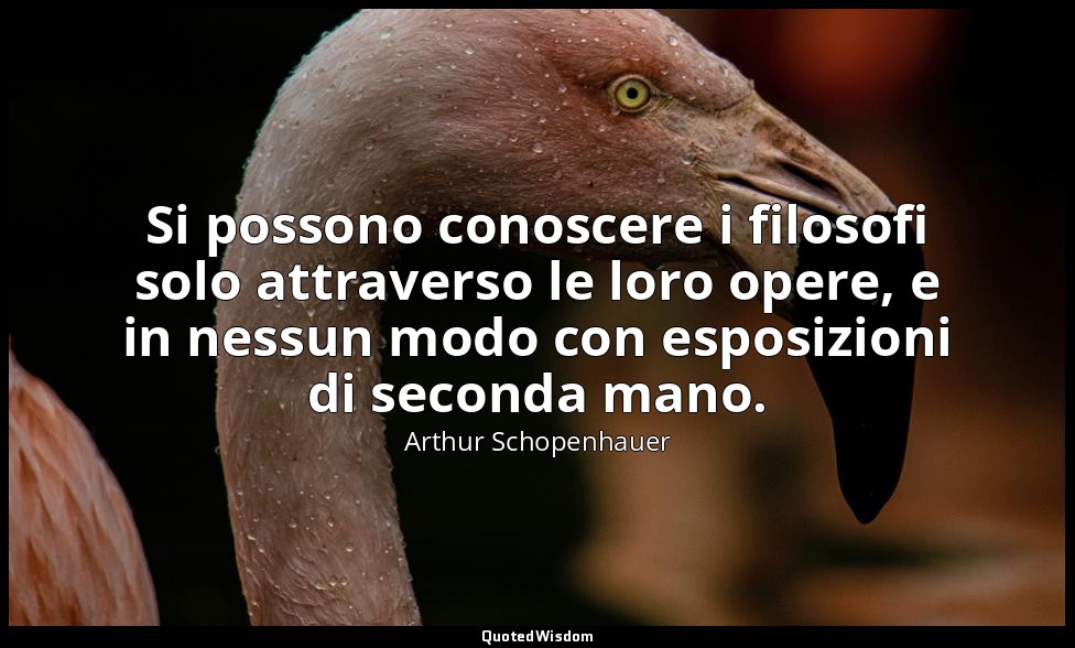 Si possono conoscere i filosofi solo attraverso le loro opere, e in nessun modo  — Arthur Schopenhauer