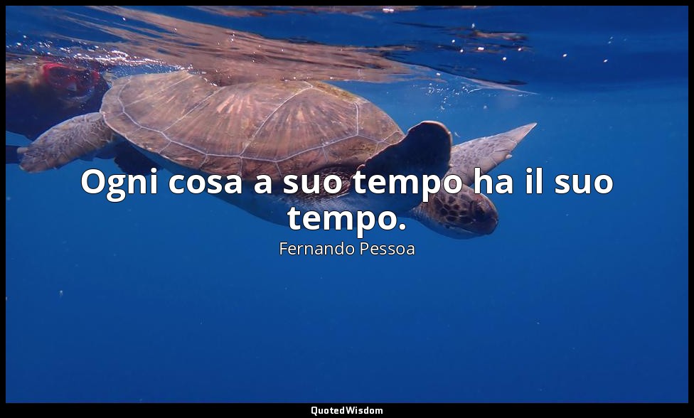 Ogni cosa a suo tempo ha il suo tempo. (30 luglio 1914, p. 29) — Fernando Pessoa