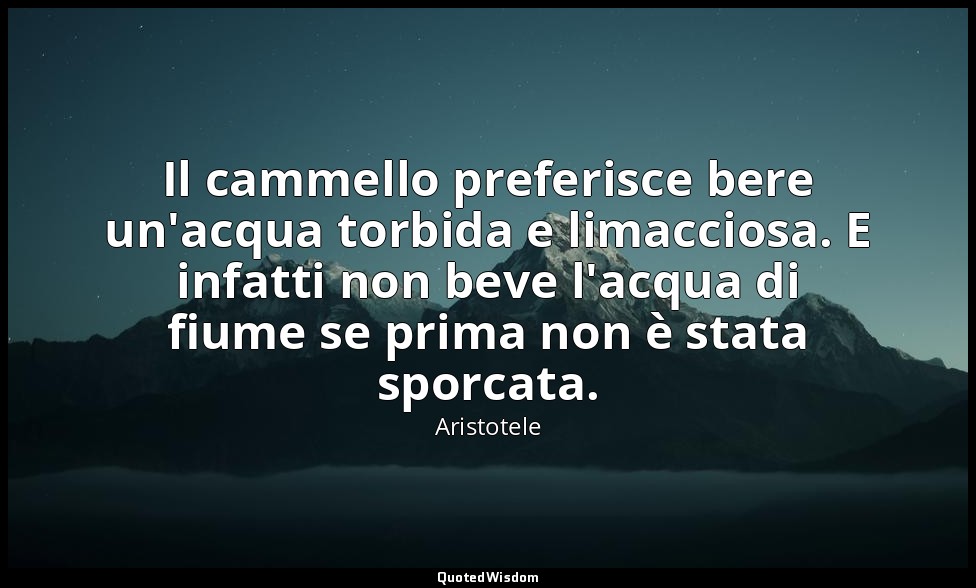 Il cammello preferisce bere un'acqua torbida e limacciosa. E infatti non beve l' — Aristotele