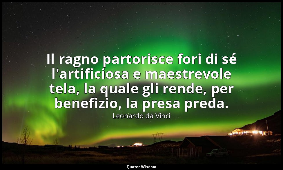 Il ragno partorisce fori di sé l'artificiosa e maestrevole tela, la quale gli re — Leonardo da Vinci