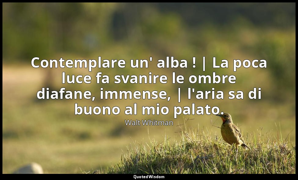 Contemplare un' alba ! | La poca luce fa svanire le ombre diafane, immense, | l' — Walt Whitman