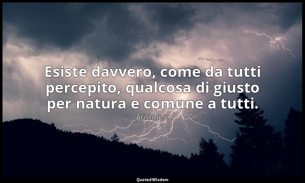 Esiste davvero, come da tutti percepito, qualcosa di giusto per natura e comune  — Aristotele
