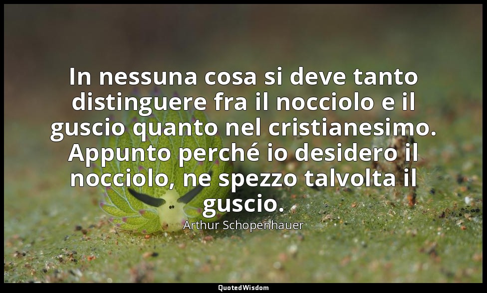 In nessuna cosa si deve tanto distinguere fra il nocciolo e il guscio quanto nel — Arthur Schopenhauer