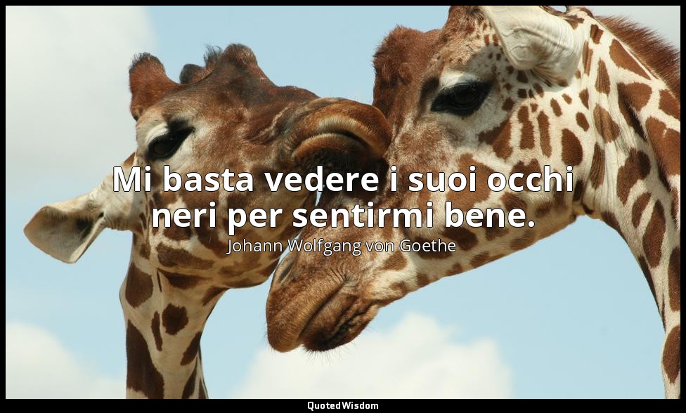 Mi basta vedere i suoi occhi neri per sentirmi bene. — Johann Wolfgang von Goethe