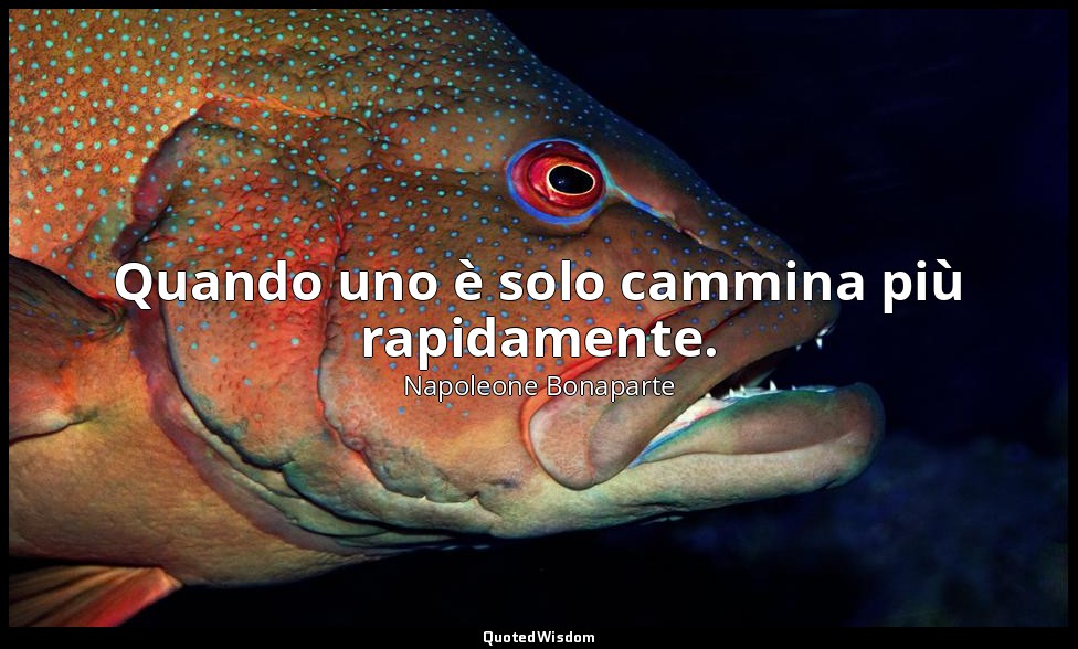 Quando uno è solo cammina più rapidamente. — Napoleone Bonaparte