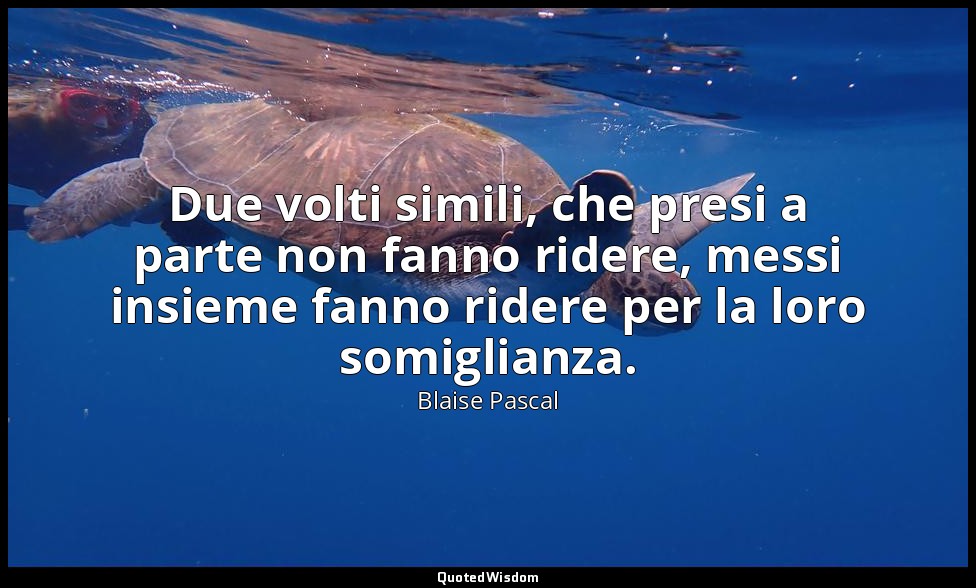 Due volti simili, che presi a parte non fanno ridere, messi insieme fanno ridere — Blaise Pascal