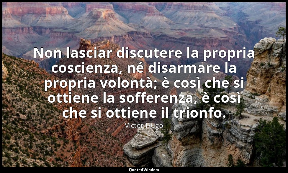 Non lasciar discutere la propria coscienza, né disarmare la propria volontà; è c — Victor Hugo