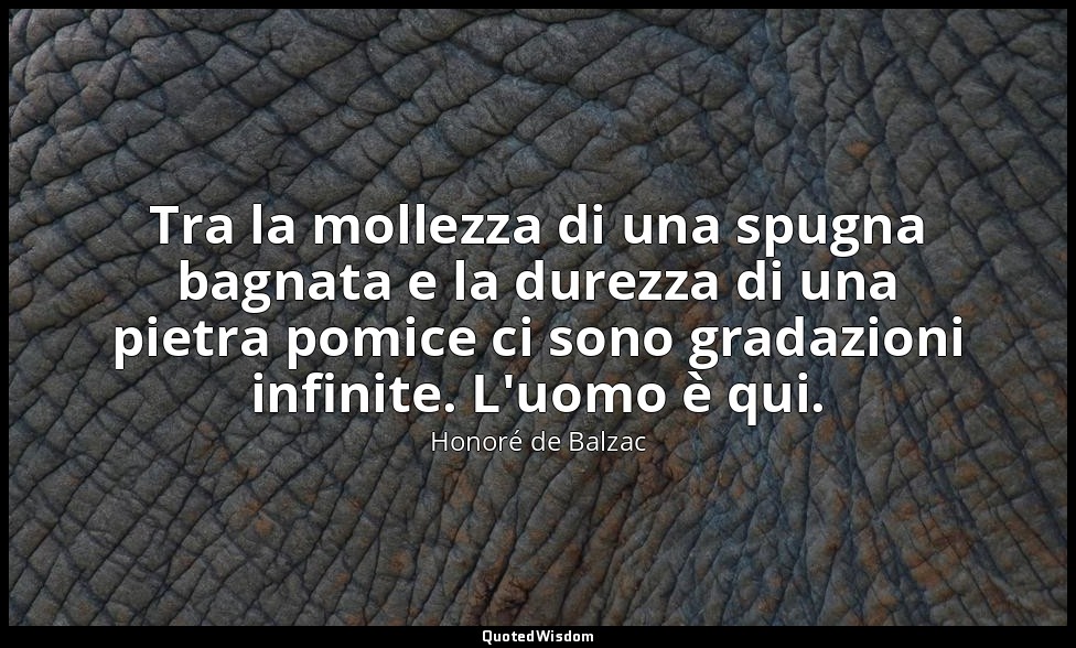 Tra la mollezza di una spugna bagnata e la durezza di una pietra pomice ci sono  — Honoré de Balzac