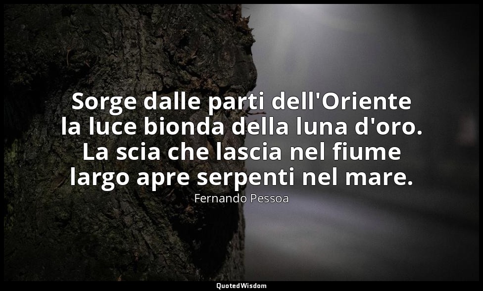 Sorge dalle parti dell'Oriente la luce bionda della luna d'oro. La scia che lasc — Fernando Pessoa
