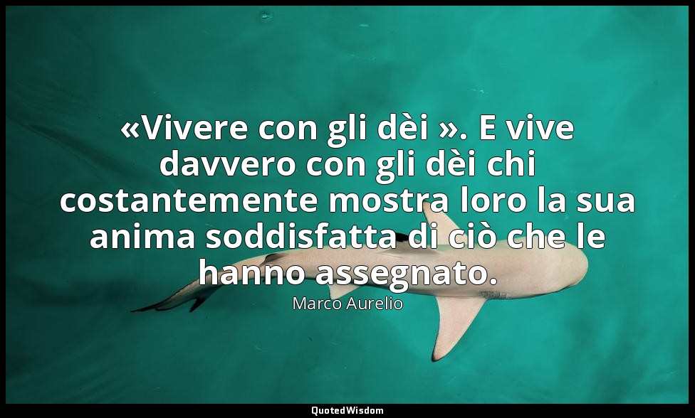 «Vivere con gli dèi ». E vive davvero con gli dèi chi costantemente mostra loro  — Marco Aurelio
