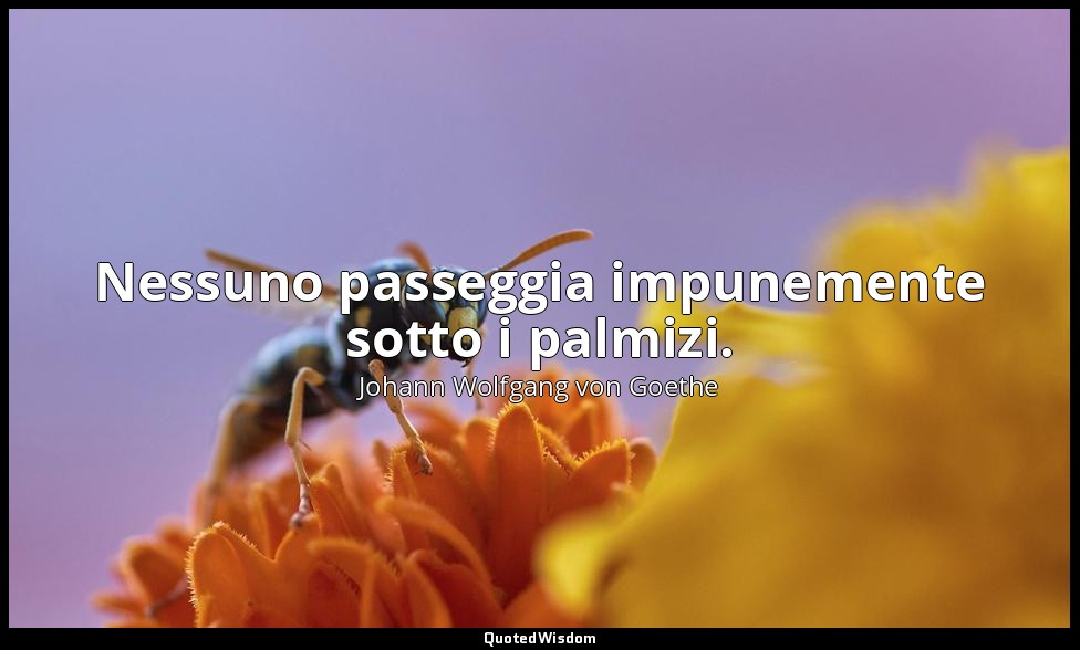 Nessuno passeggia impunemente sotto i palmizi. — Johann Wolfgang von Goethe