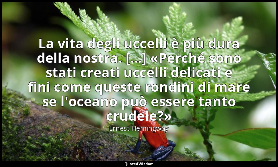 La vita degli uccelli è più dura della nostra. [...] «Perché sono stati creati u — Ernest Hemingway