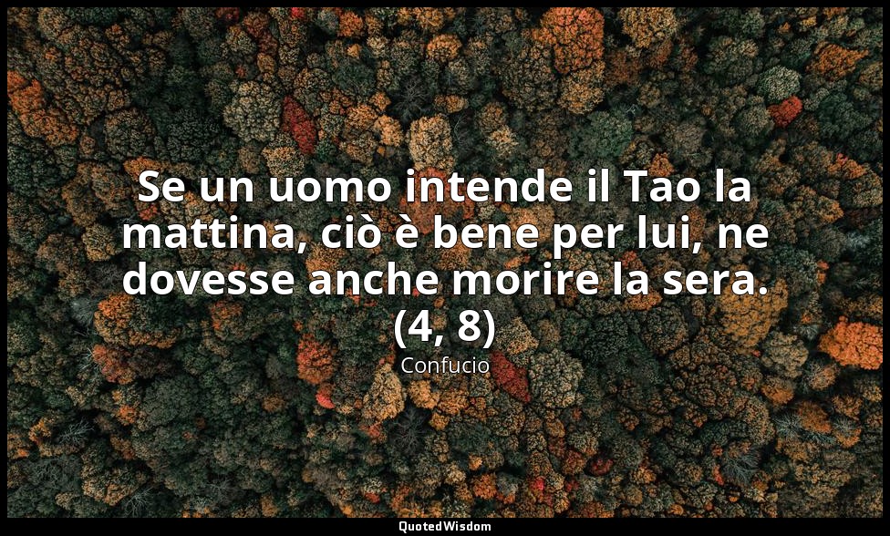 Se un uomo intende il Tao la mattina, ciò è bene per lui, ne dovesse anche morir — Confucio