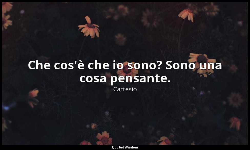 Che cos'è che io sono? Sono una cosa pensante. — Cartesio