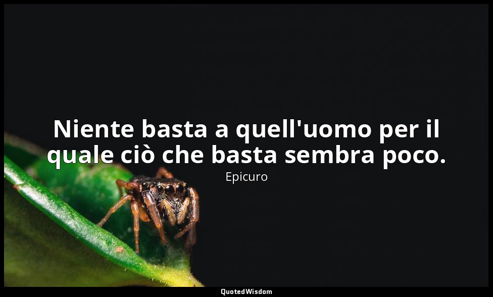 Niente basta a quell'uomo per il quale ciò che basta sembra poco. — Epicuro