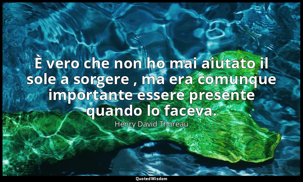 È vero che non ho mai aiutato il sole a sorgere , ma era comunque importante ess — Henry David Thoreau