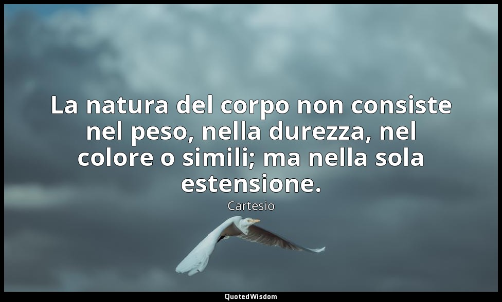 La natura del corpo non consiste nel peso, nella durezza, nel colore o simili; m — Cartesio