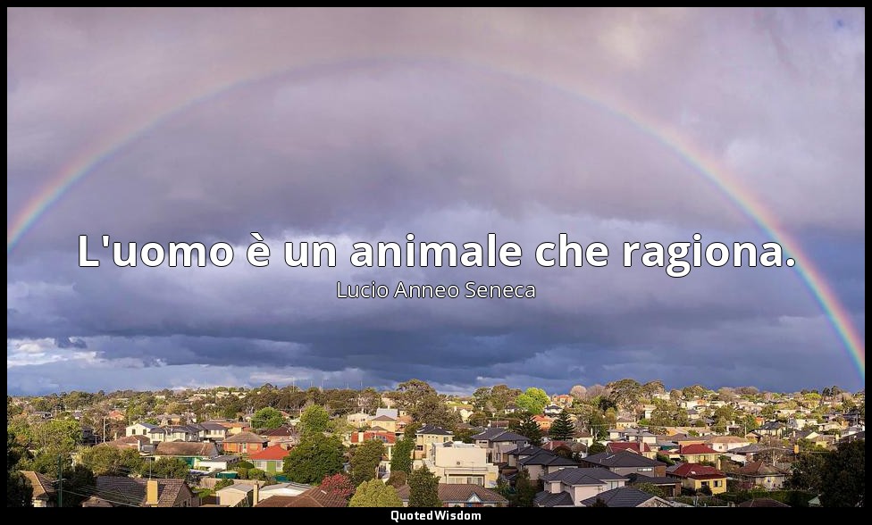 L'uomo è un animale che ragiona. (41, 8) — Lucio Anneo Seneca