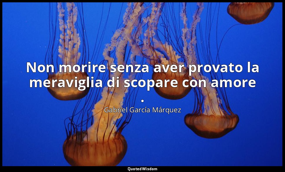 Non morire senza aver provato la meraviglia di scopare con amore . — Gabriel García Márquez