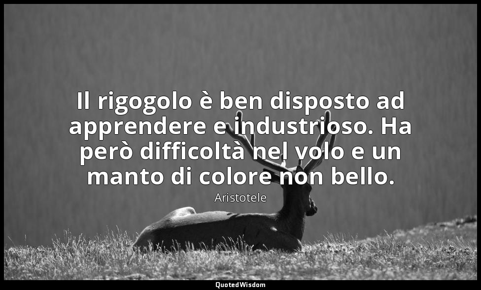 Il rigogolo è ben disposto ad apprendere e industrioso. Ha però difficoltà nel v — Aristotele